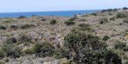 Elafonisi Kreta, Elafonisi: Großes Grundstück im Südwesten nahe des Meeres zu verkaufen Grundstück kaufen